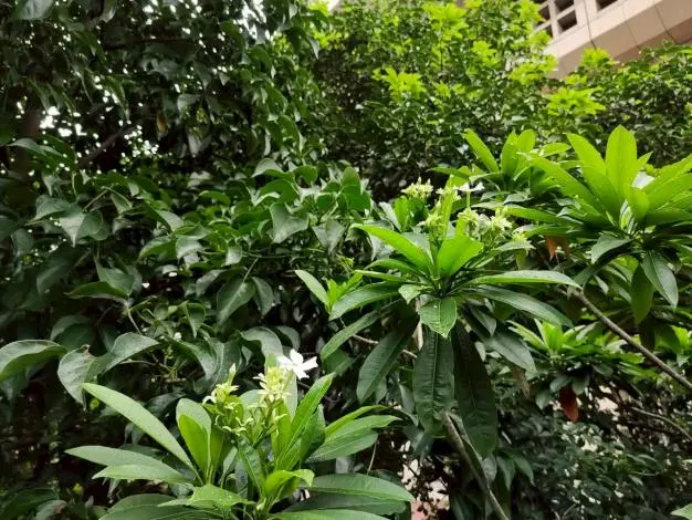 圖片來源:臺北市政府