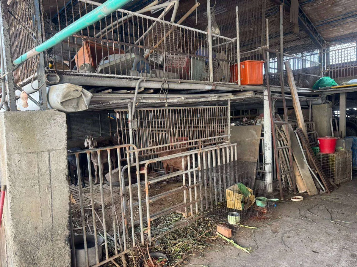 圖片來源:雲林縣政府