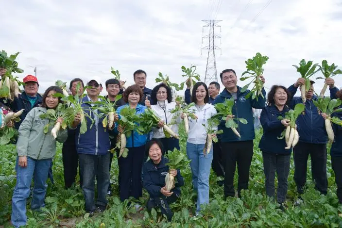 通霄千人拔蘿蔔!1甲地白玉任你採 還有免費藺草編織DIY