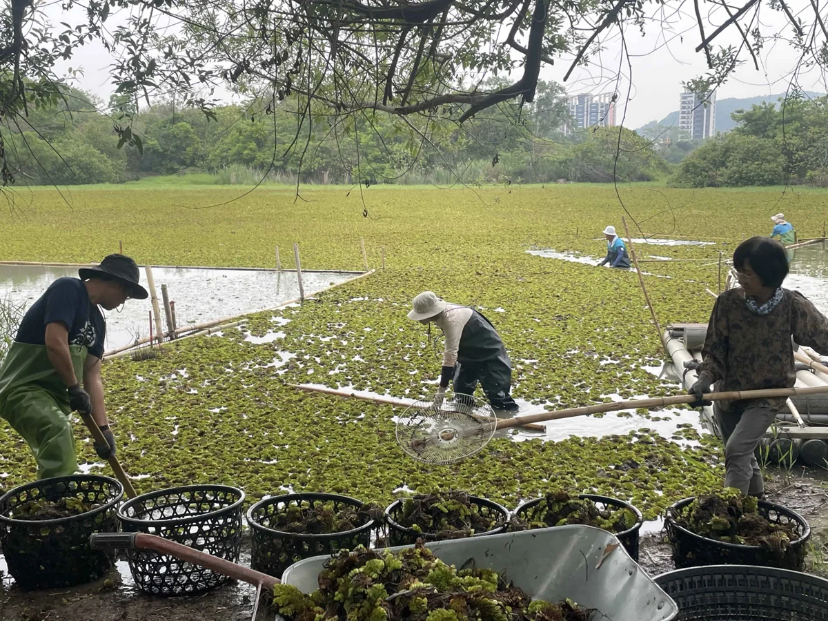 圖片來源:高雄市政府