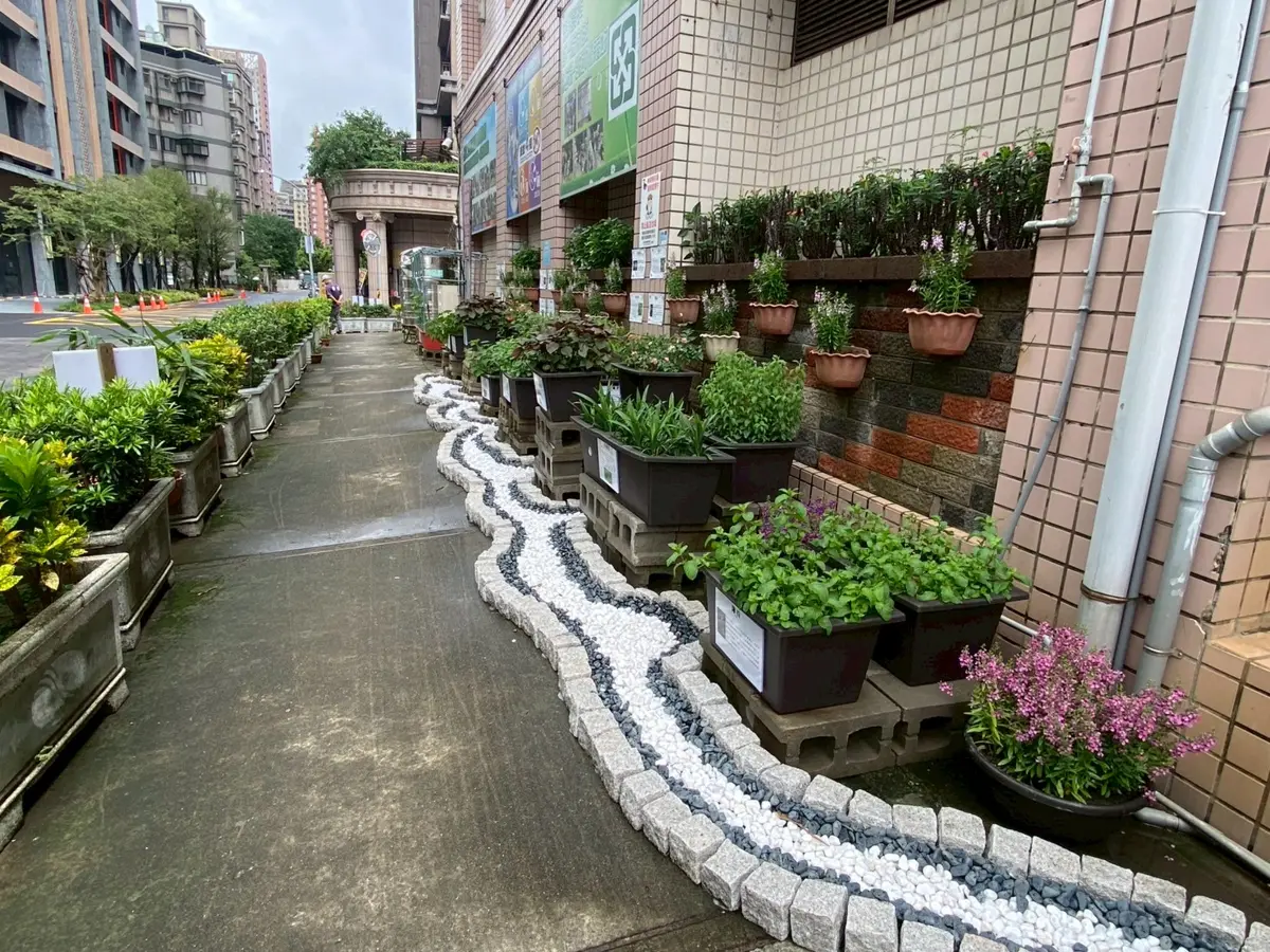新北掀「可食地景」風潮!自家陽台變菜園,里長帶頭種出社區新風景