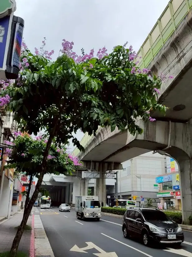 圖片來源:臺北市政府