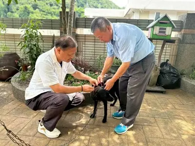 台中市民注意!7至8月免費犬貓狂犬病疫苗巡迴開跑 趕快帶毛孩來打針