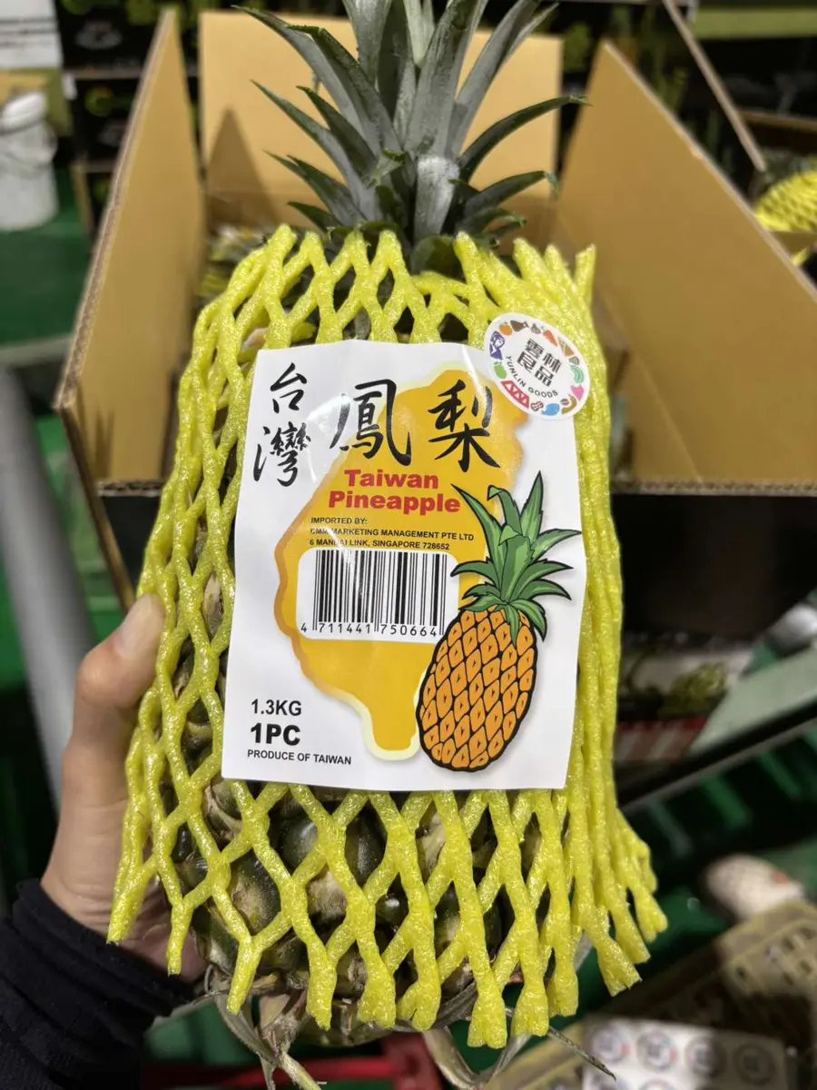 圖片來源：雲林縣政府