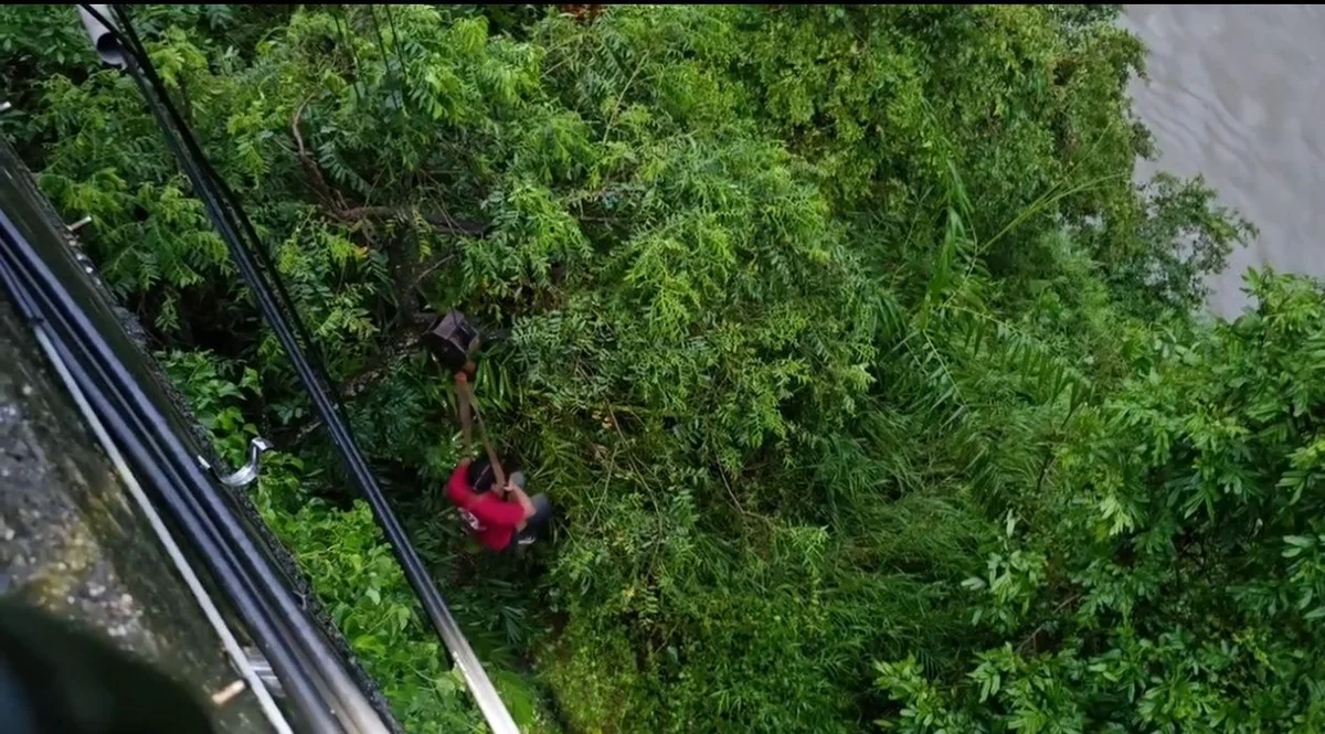 圖片來源:臺東縣政府