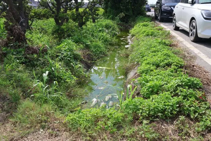 圖片來源:雲林縣政府