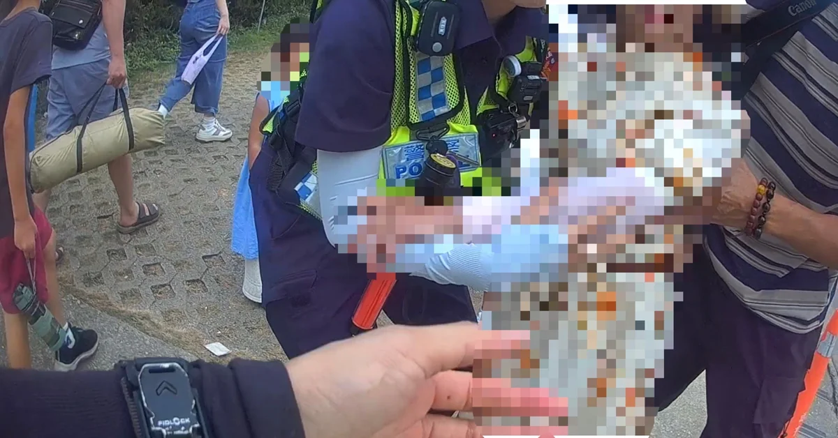 圖片來源:臺東縣政府