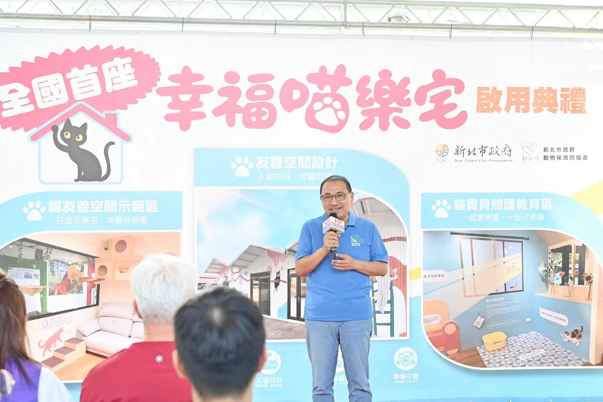 全國首座!新北「幸福喵樂宅」板橋啟用 認養黑貓加碼送一年份貓糧