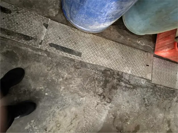 防範漢他病毒!台南市啟動市場夜市滅鼠作戰 牢記「防鼠三不」原則