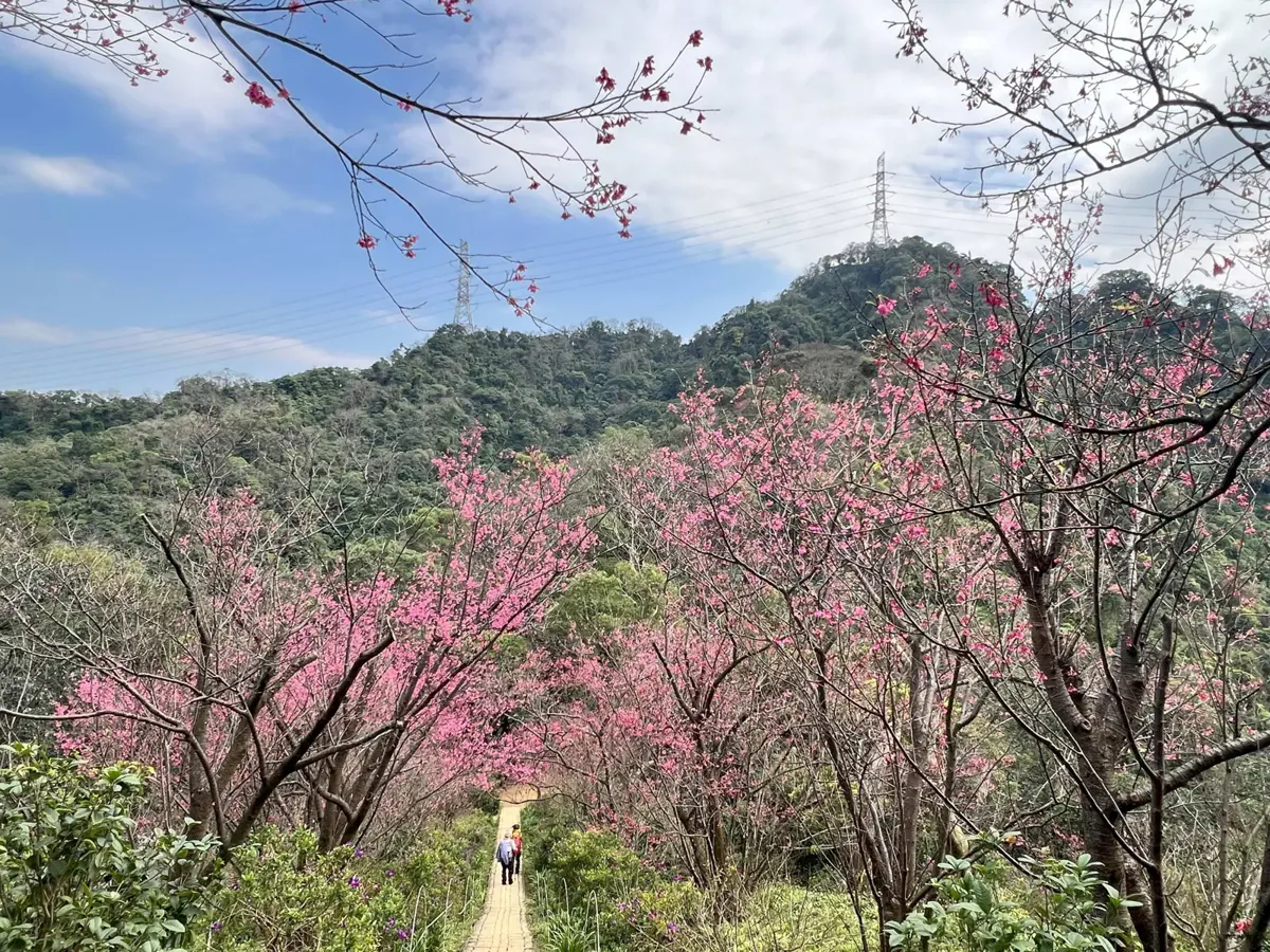 圖片來源:新北市政府