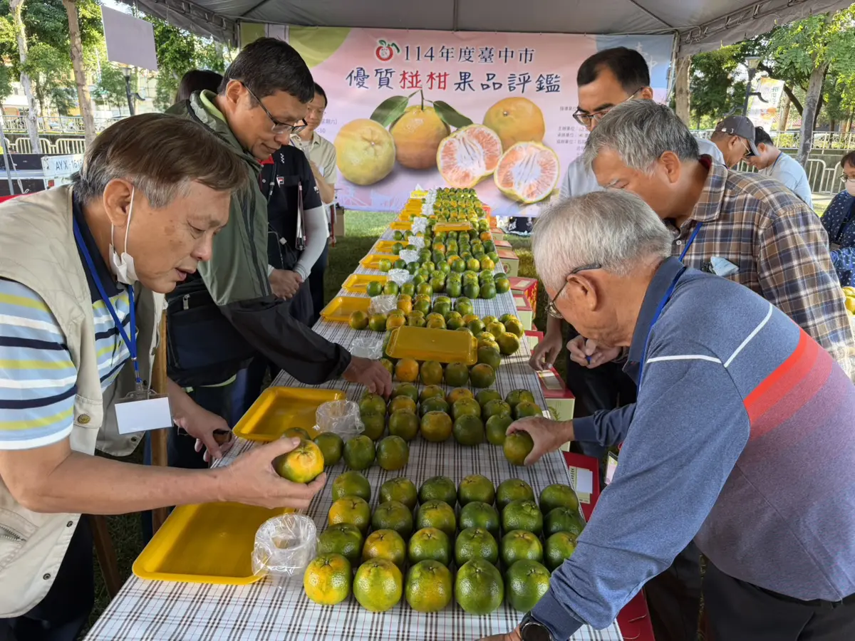 圖片來源：臺中市政府