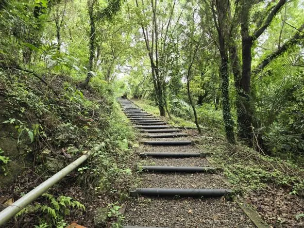 圖片來源:臺南市政府