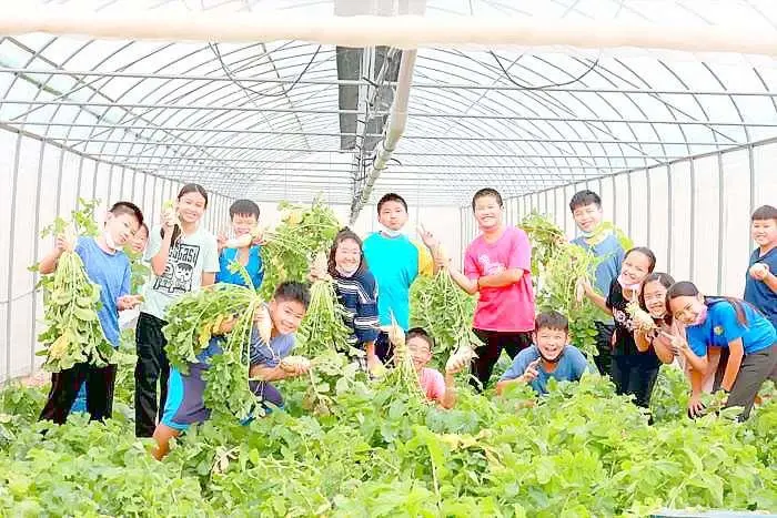 金門擊敗全台352件作品!《金生金市》奪全國綠色城市大獎