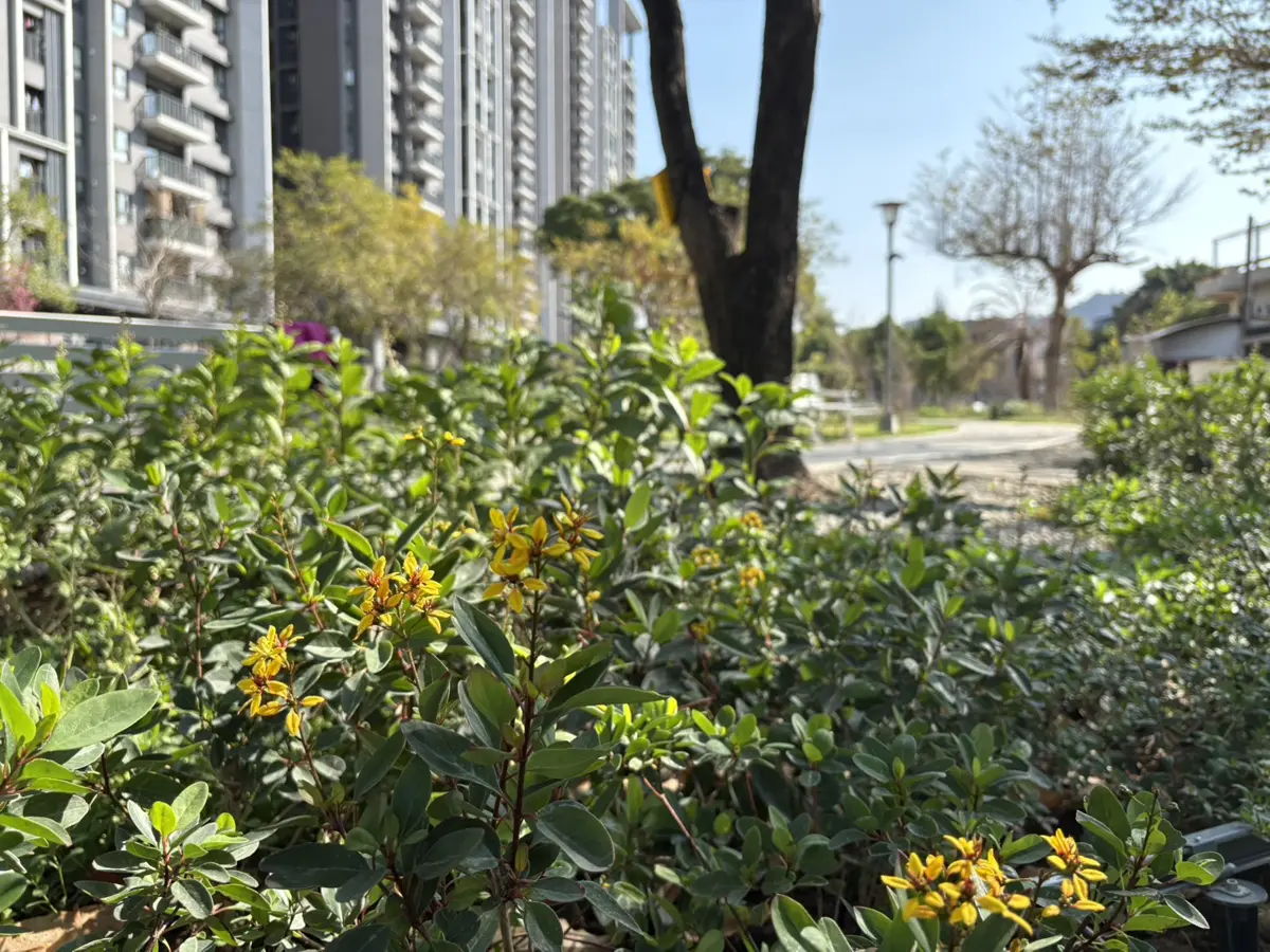 圖片來源:臺中市政府