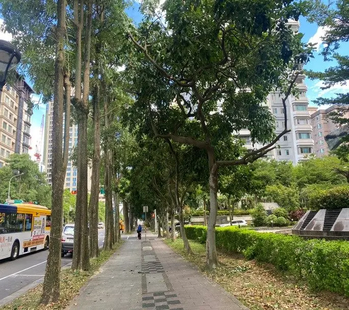 圖片來源:臺北市政府