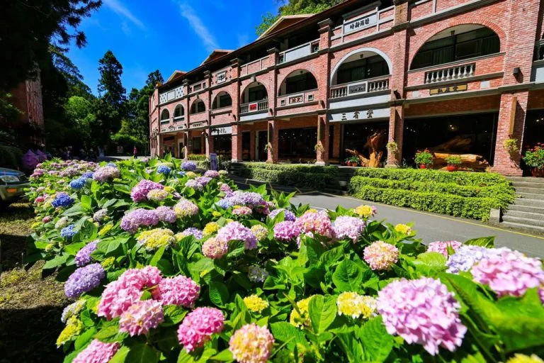 圖片來源：南投旅遊網-活動