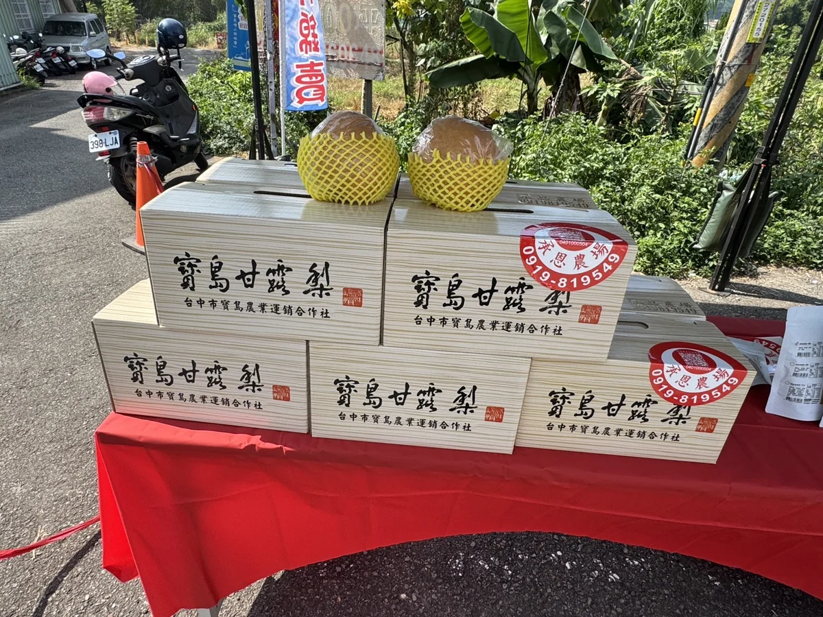 圖片來源:臺中市政府