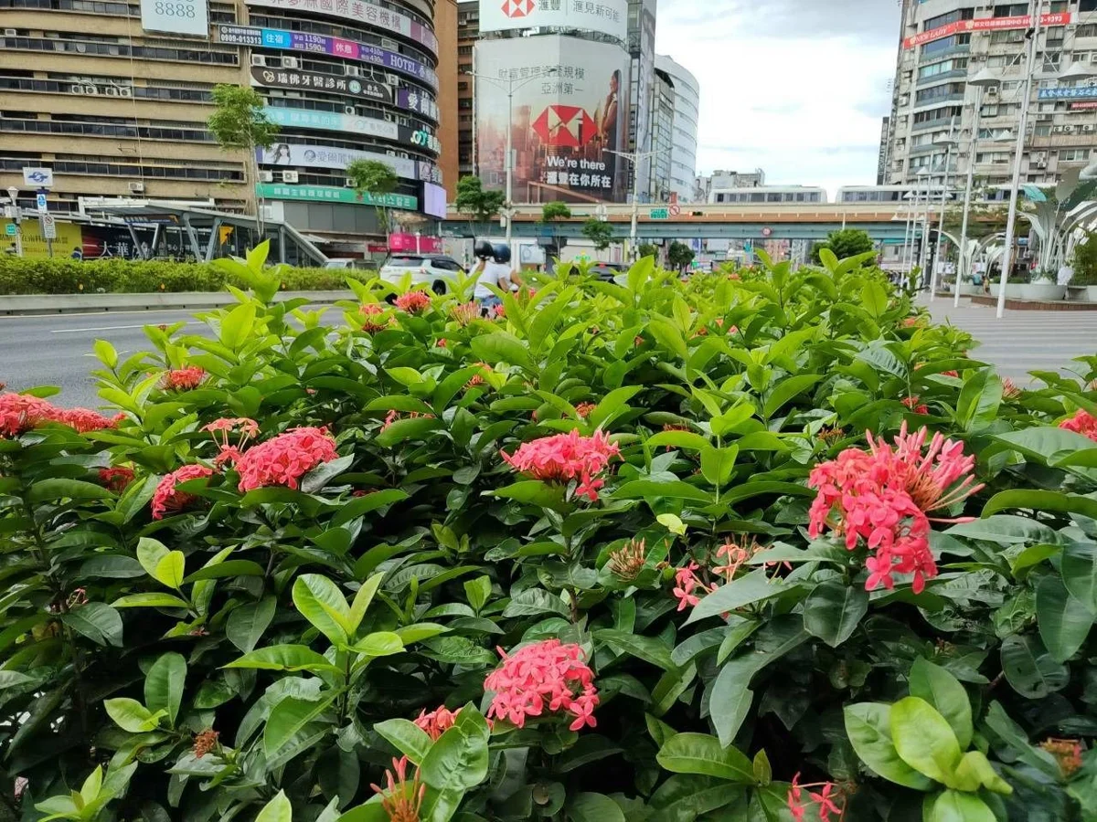 圖片來源：臺北市政府