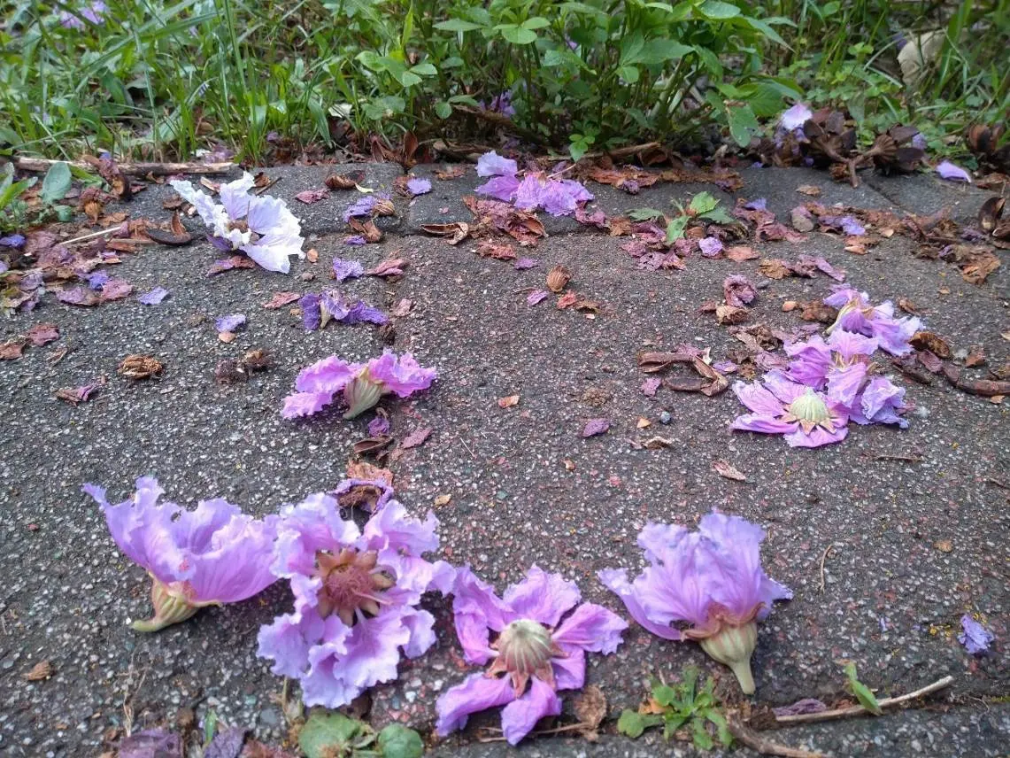圖片來源:臺北市政府