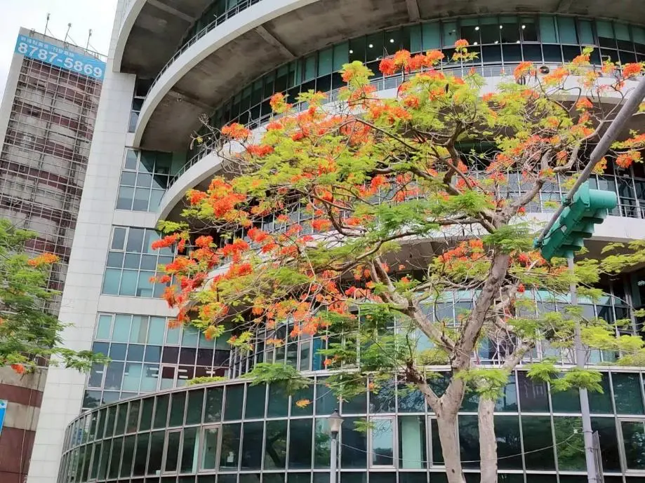 圖片來源:臺北市政府