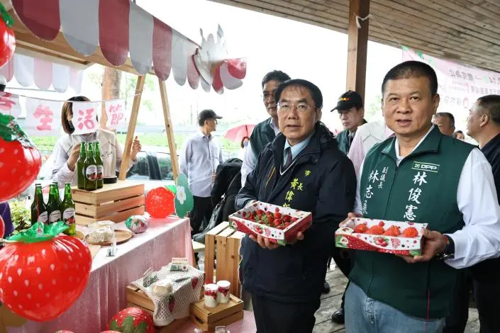 善化草莓季3/7登場！黃偉哲邀你嚐「國境之南」限定甜，採果享8折優惠