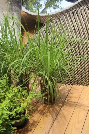 圖片來源:臺北市政府