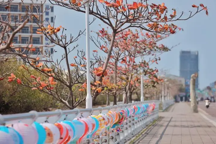 圖片來源:臺南市政府