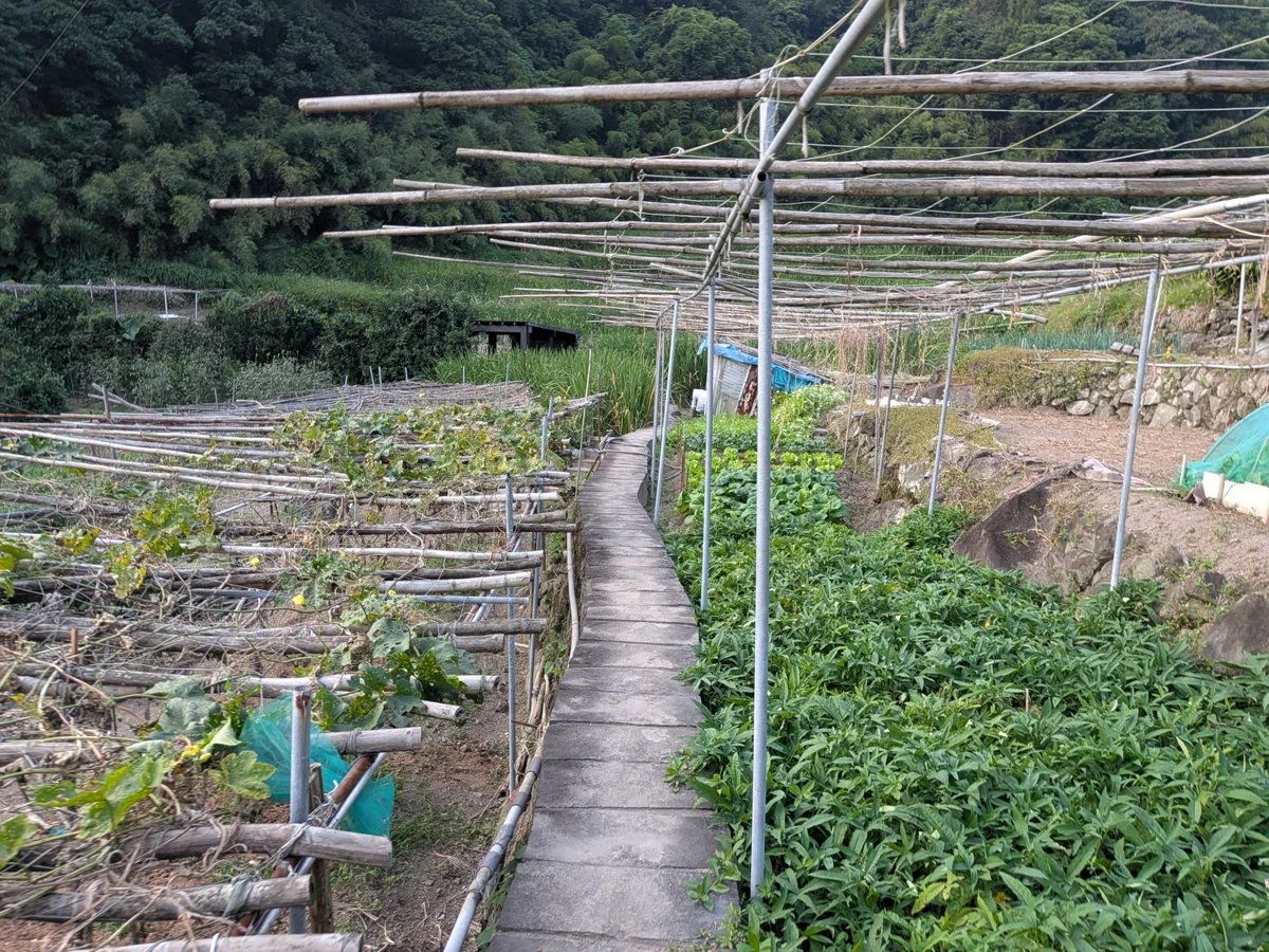 圖片來源：臺北市政府