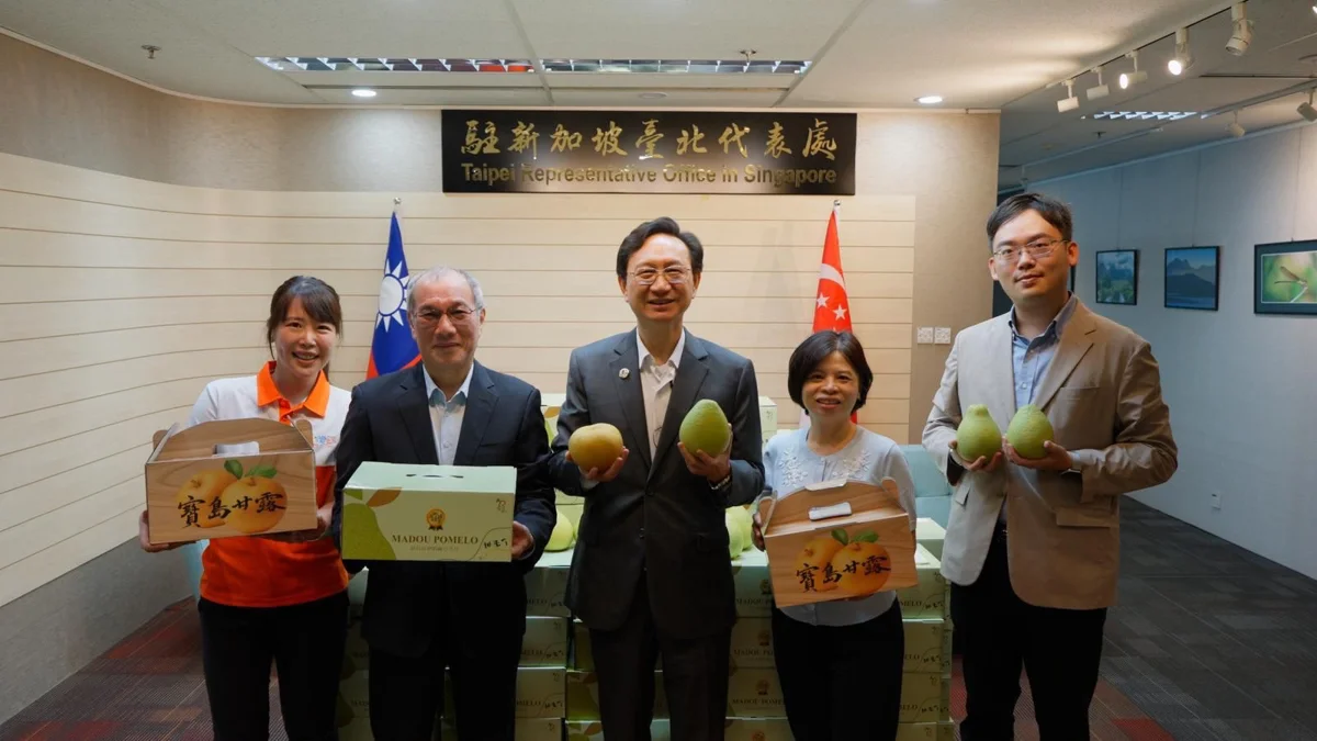 中秋送禮新選擇！台南麻豆文旦首批登陸新加坡，熱銷三大貨櫃！