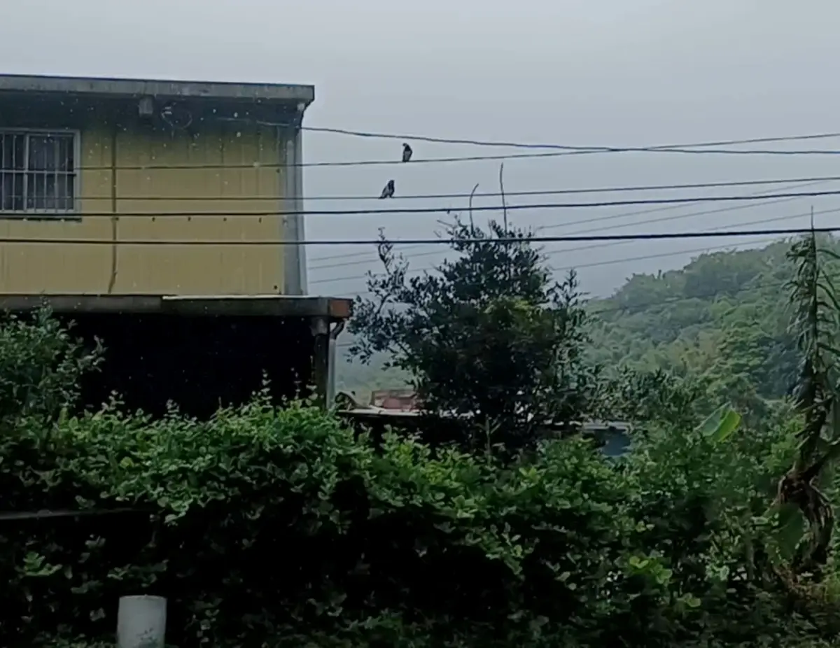 圖片來源:新北市政府