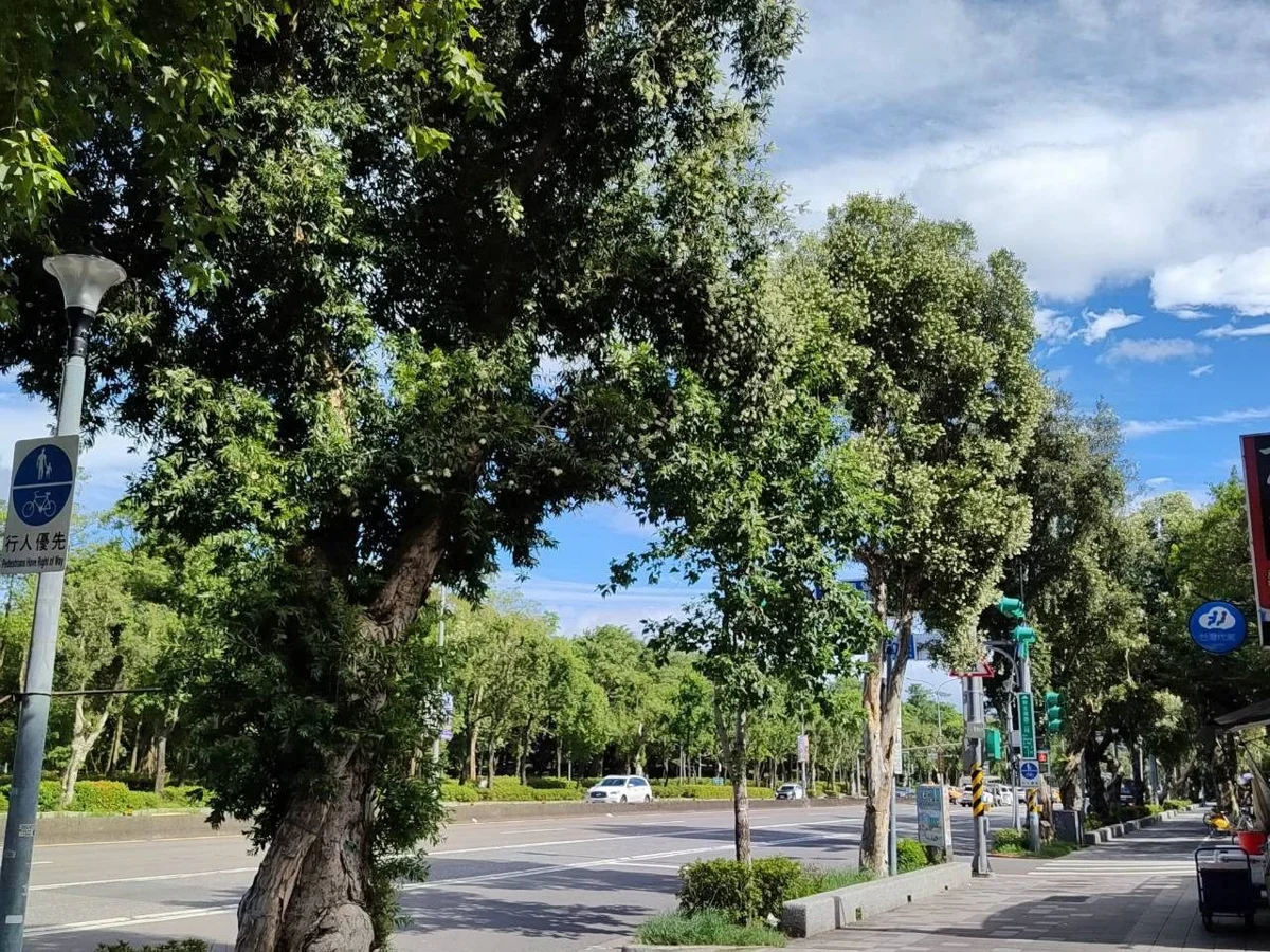 圖片來源:臺北市政府
