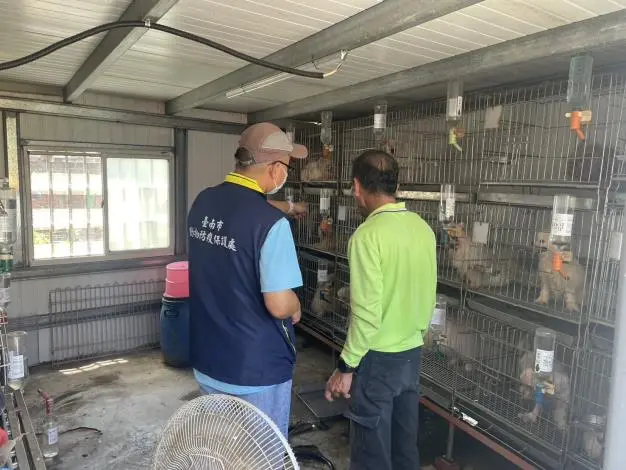 學甲驚傳24犬隻不當飼養！動保處介入調查 飼主恐面臨最高25萬罰鍰