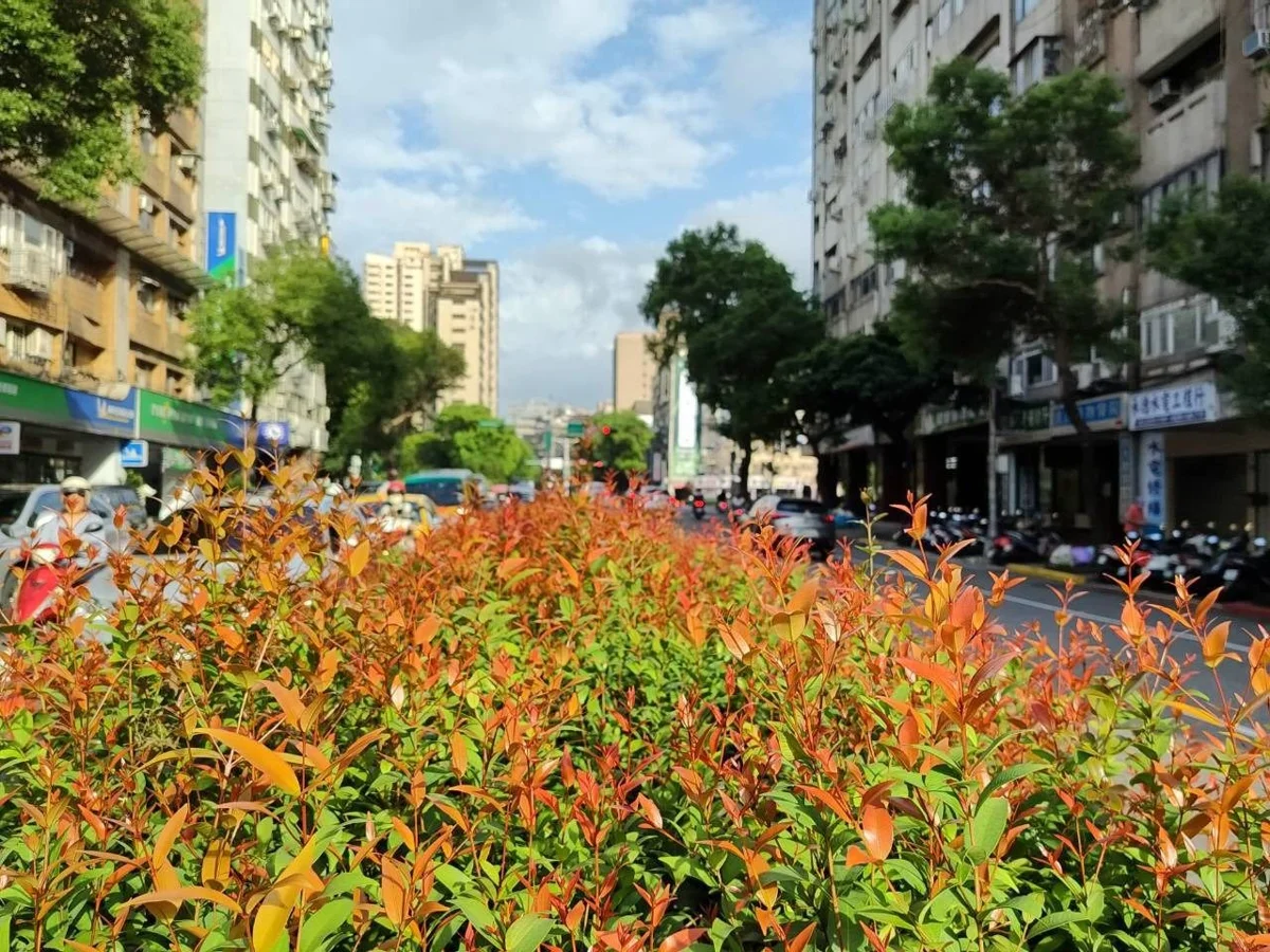 圖片來源:臺北市政府