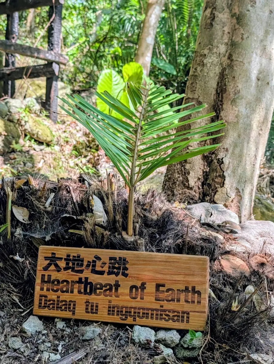 圖片來源:花蓮縣政府