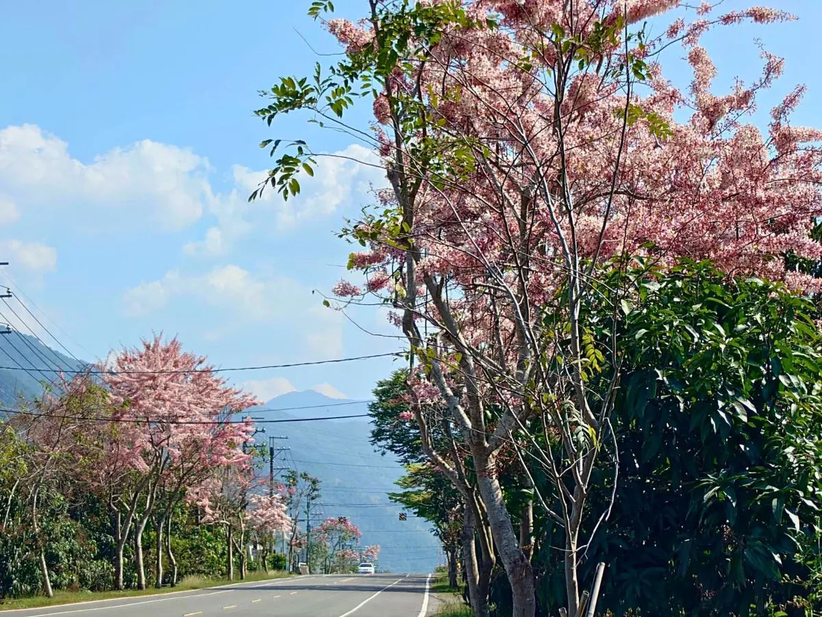 圖片來源:高雄市政府