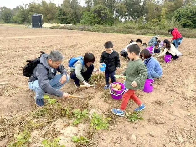 金門親子假日好去處!農試所體驗挖馬鈴薯、手作銷魂起司球