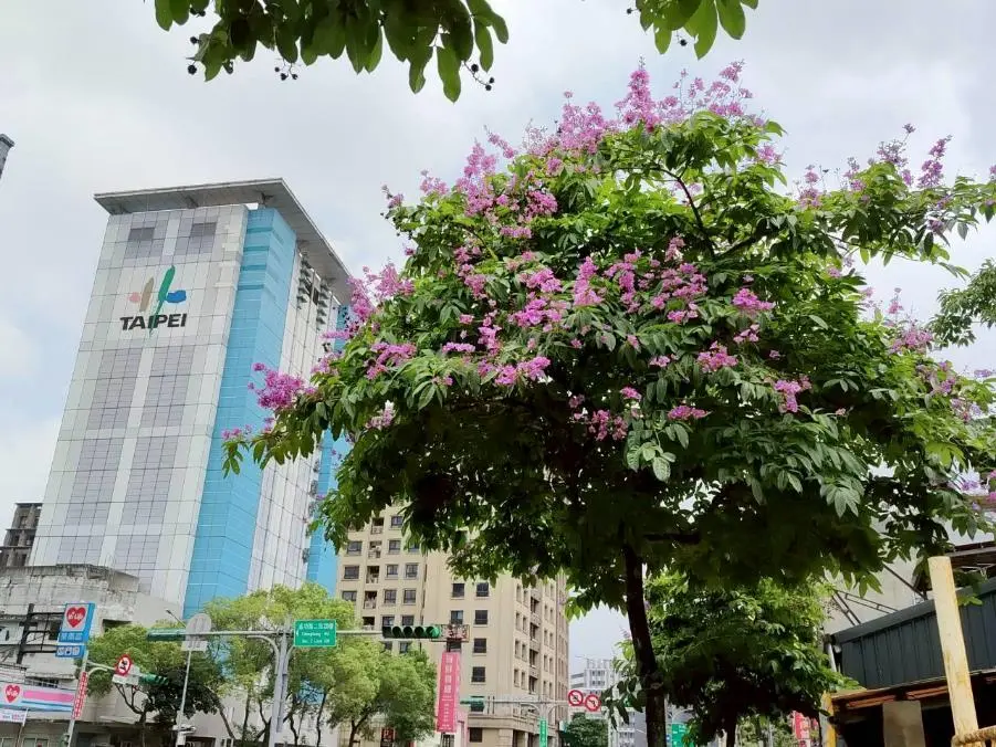 圖片來源:臺北市政府