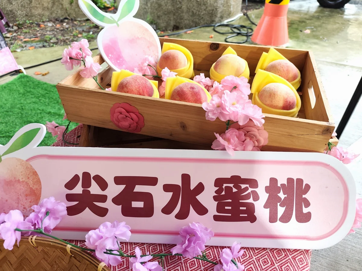颱風重創產區水蜜桃滯銷！新竹縣長化身團購主 籲全民用新台幣下架