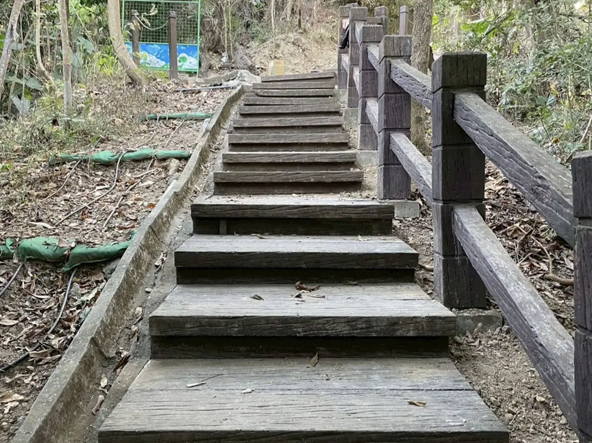 圖片來源:臺中市政府