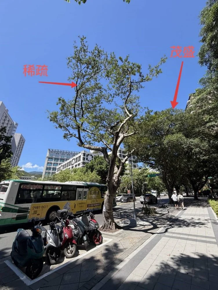 圖片來源:臺北市政府