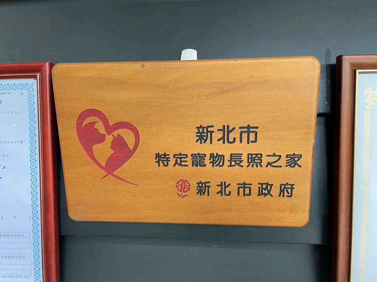 圖片來源:新北市政府