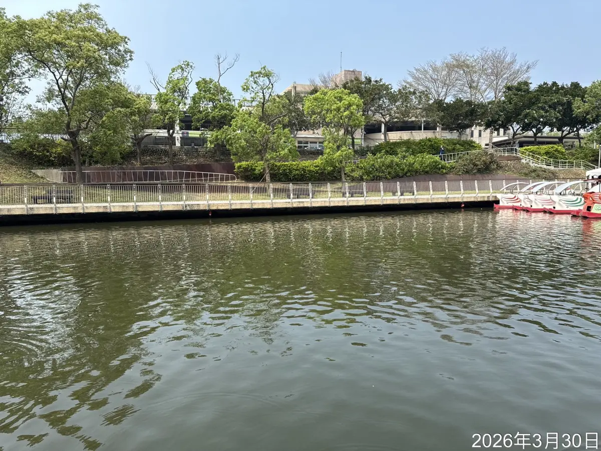 圖片來源：新竹市政府