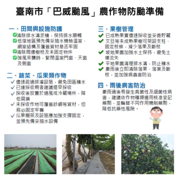 圖片來源:臺南市政府