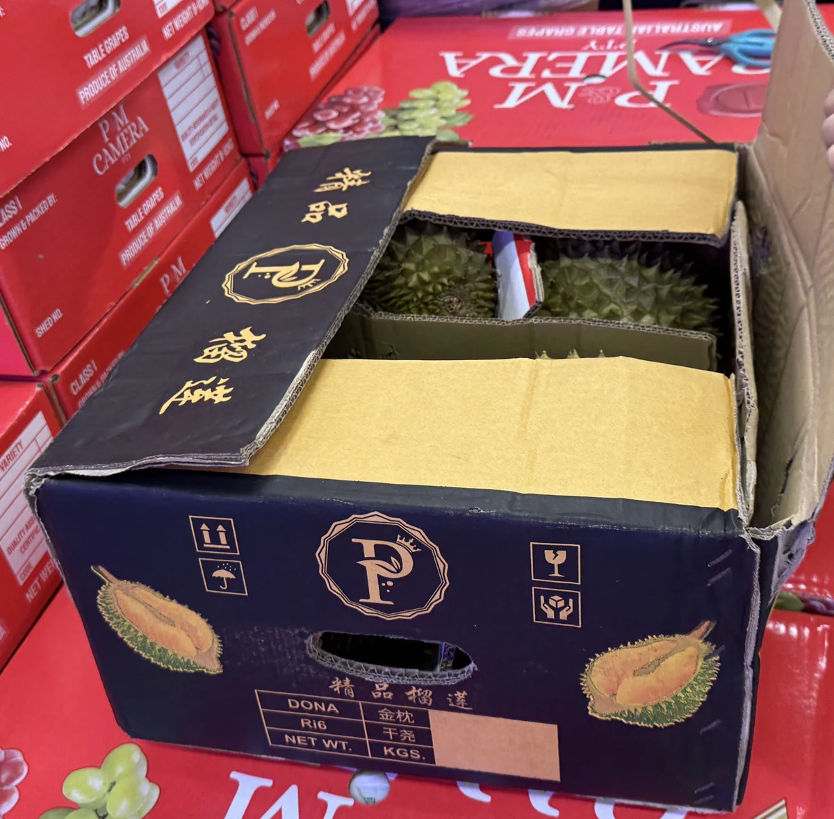 圖片來源:臺北市政府