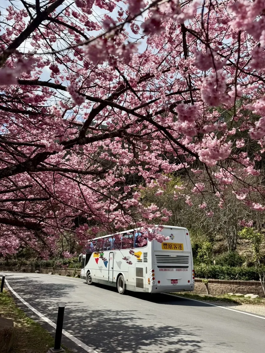圖片來源:臺中市政府