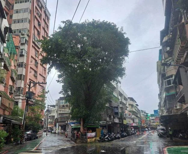 圖片來源:臺北市政府