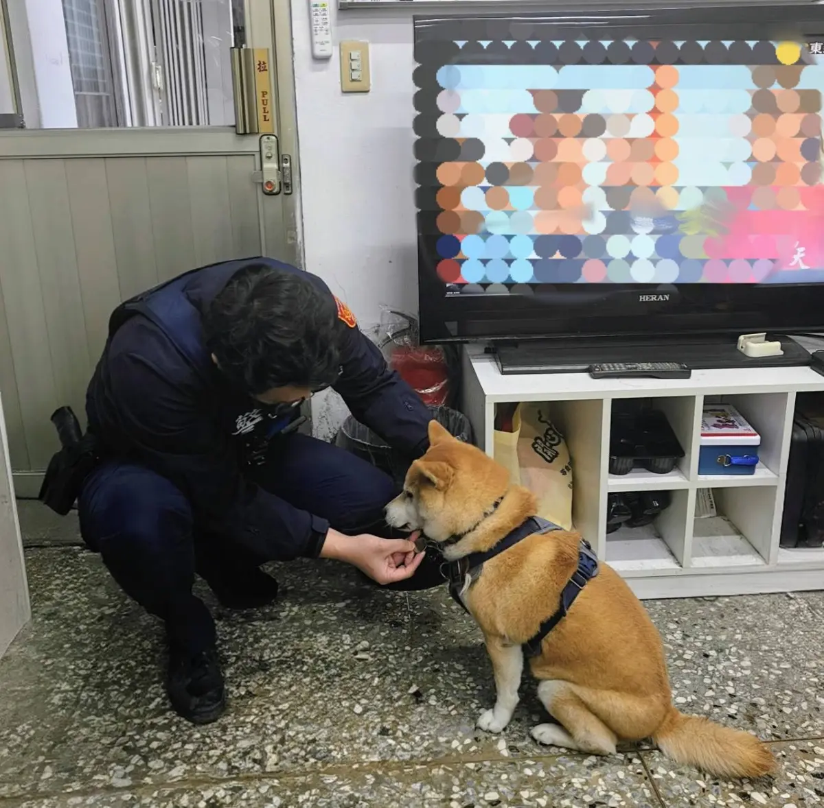 內湖大賣場驚見迷途柴犬!暖警靠「一枚名牌」秒速助牠回家