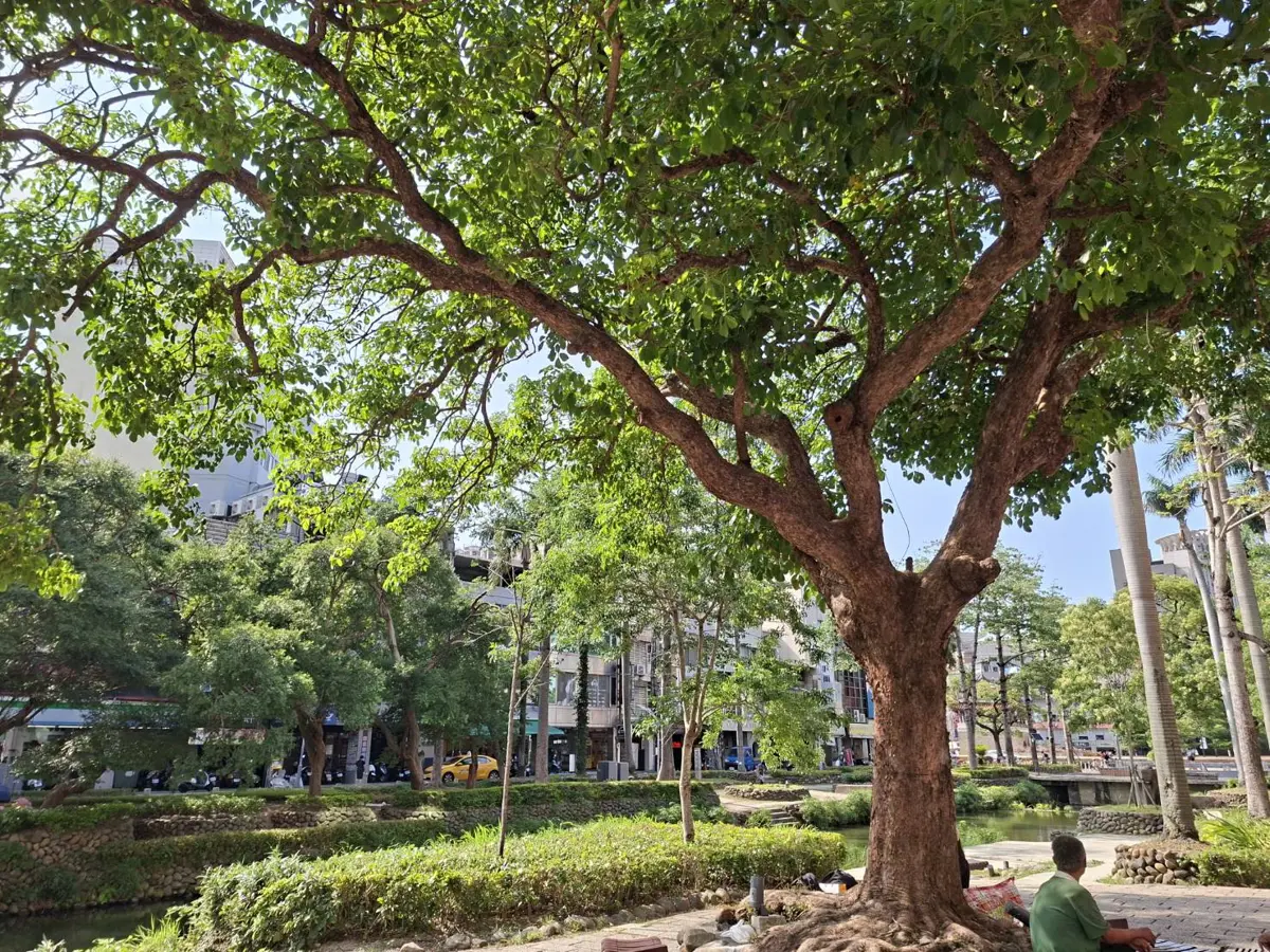 竹市府怒轟《自由時報》!指控「舊照新用」抹黑站前街友現況,要求公開道歉
