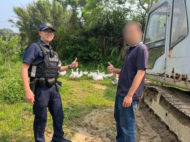 三灣20隻鵝「集體翹家」！飼主急壞 暖警地毯式搜索300公尺外草叢尋回