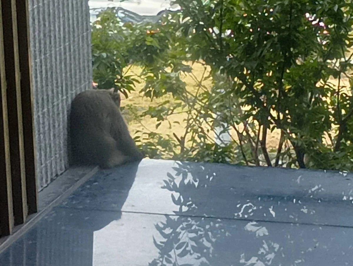 圖片來源：新竹縣政府